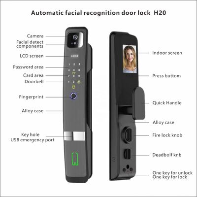 Qleung S924 Max 10 Language 3D Face Tuya APP Lock Password Key Code Biometric Fingerprint Smart Cloud Wood/Aluminum Door Lock
