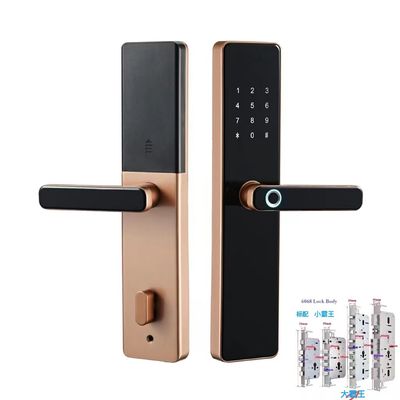 6068 Mortise TTล็อค อินเตอร์เน็ตไร้สาย Tuya ประตูล็อคด้วยลายนิ้วมือและรหัสผ่าน
