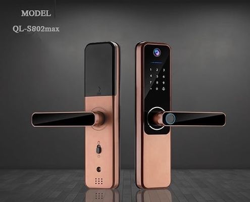 แบตเตอรี่แอลคาไลน์ ทนทาน ล็อคประตูลายนิ้วมือ Tuya ล็อคประตูลายนิ้วมือ Bluetooth