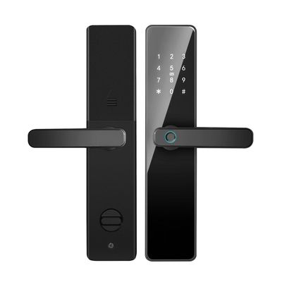 Qleung S819 ประตูอลูมิเนียมลายนิ้วมือ Wi-Fi เติม Tuya TTlock With Password Key Card สําหรับบ้าน