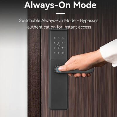 Qleung S851 ล็อคประตูดิจิตอล Tuya Smart พร้อมที่เก็บข้อมูลบนคลาวด์, ไส้กุญแจเกรด B และเครือข่าย Wi-Fi