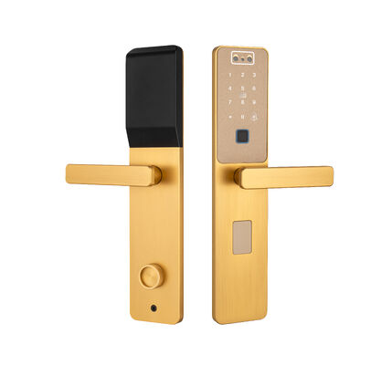 S869 สีทอง CNC แผ่นบาง การจํานองใบหน้า